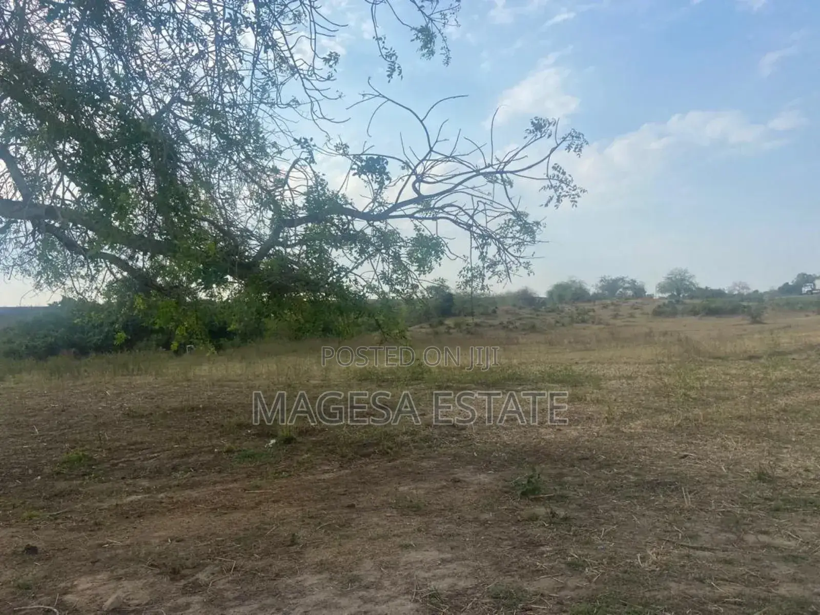 Industrial Area for Sale