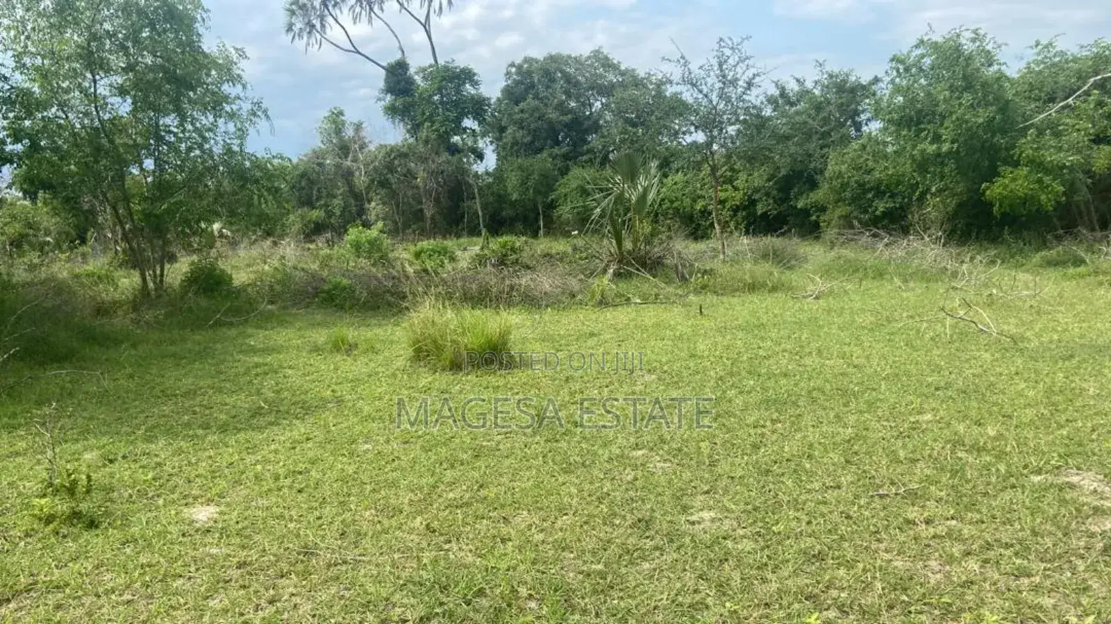 Industrial Area for Sale