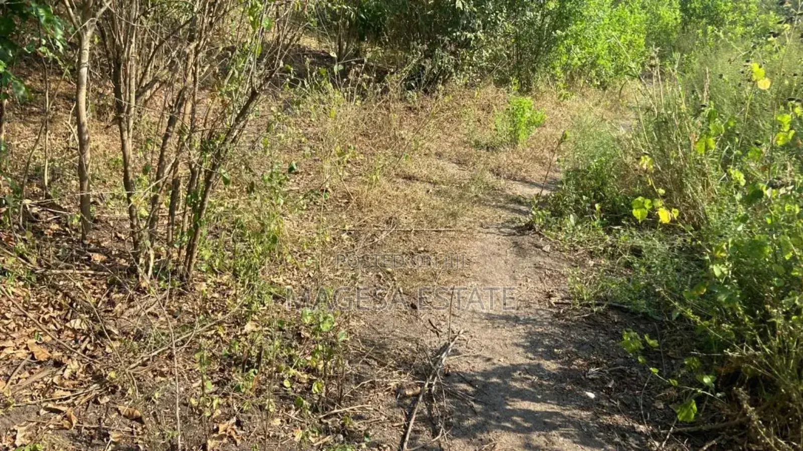 Industrial Area for Sale