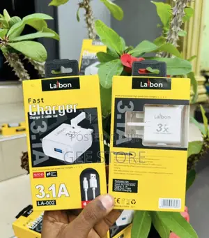 Laiboni Charger