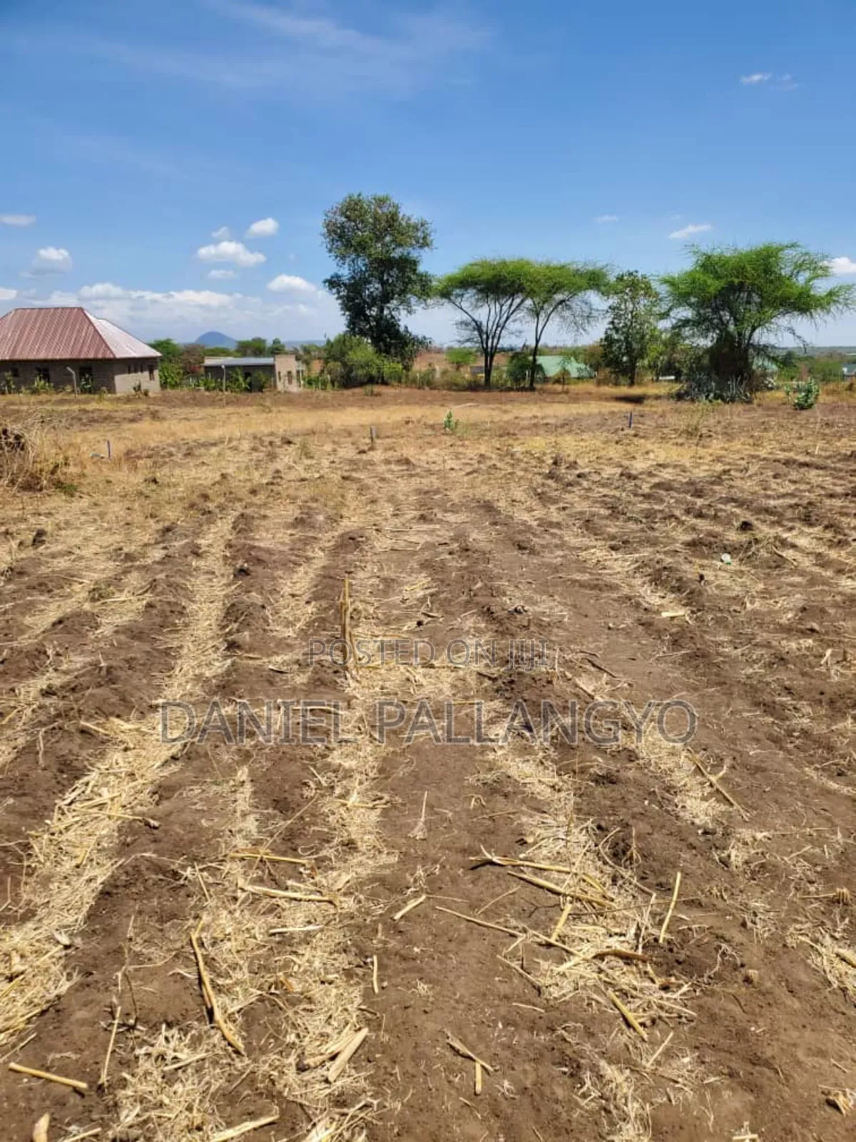 Viwanja / Plots Bora Arusha