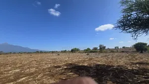 Viwanja / Plots Bora Arusha