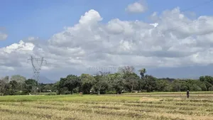 Viwanja / Plots Bora Arusha