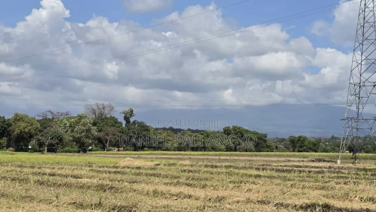 Viwanja / Plots Bora Arusha