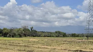 Viwanja / Plots Bora Arusha