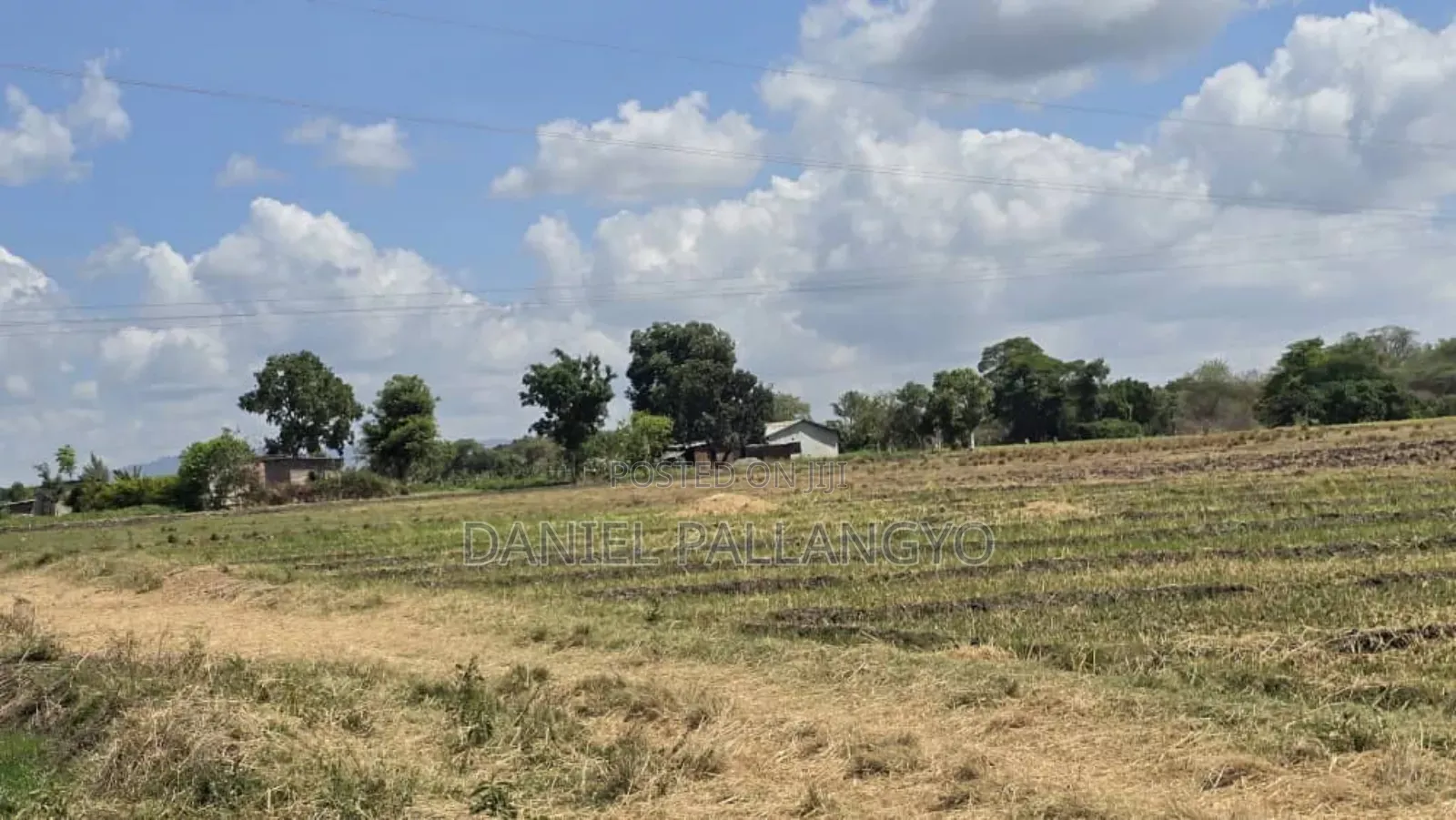 Viwanja / Plots Bora Arusha