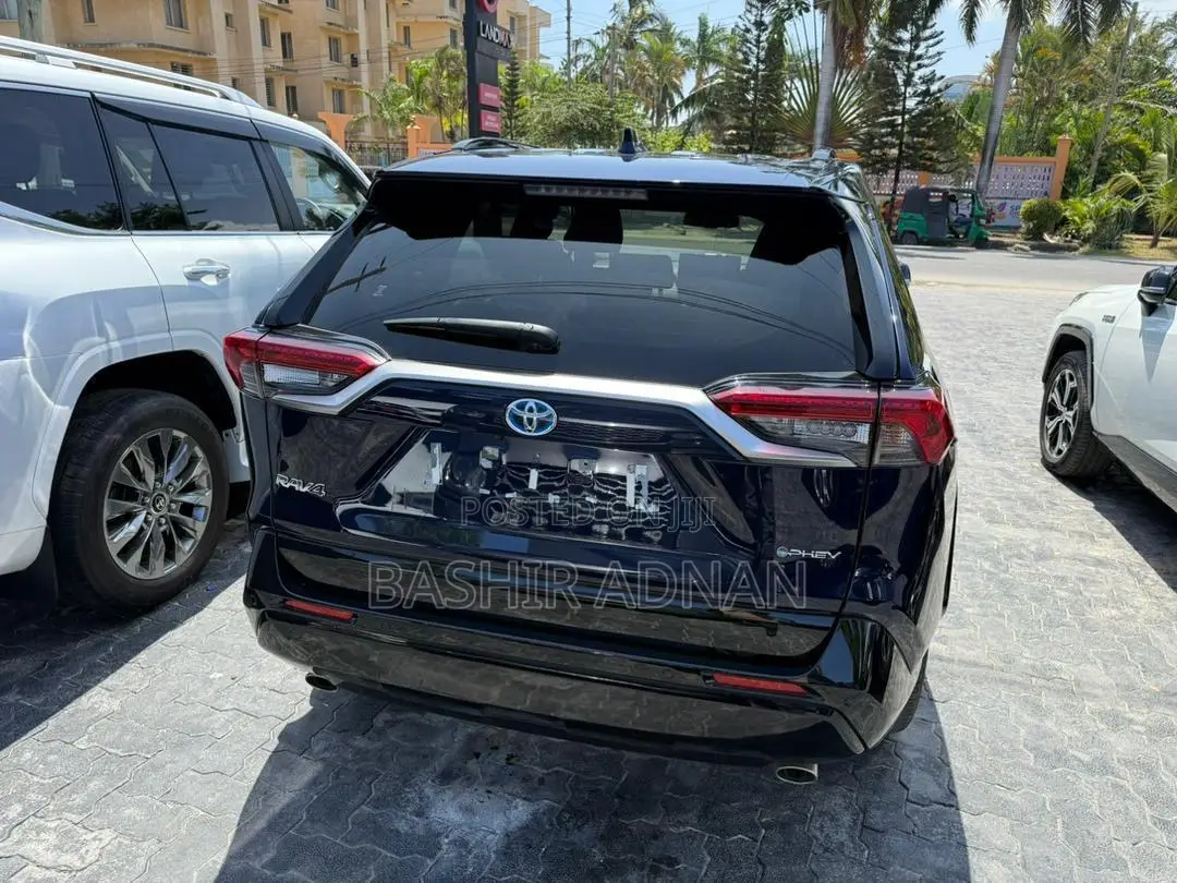 Toyota RAV4 2024 Blue