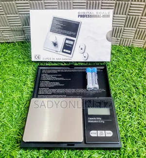 High Professional Digital Scale 500g