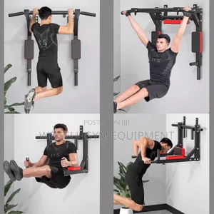 Wallmount Pull Up Bar