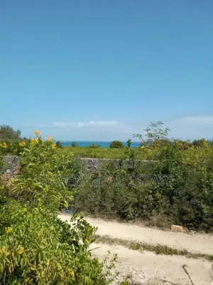 Second Beach Plot for Sale at Zanzibar