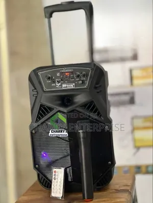 Aborder Portable Rechargeable Speaker Ya Matangazo Dj852 Wireless Mic