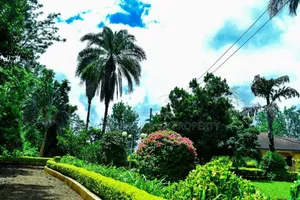 Plot With 3 Bed Room House for Sale at Arusha Njiro Kanisani SQM 8600