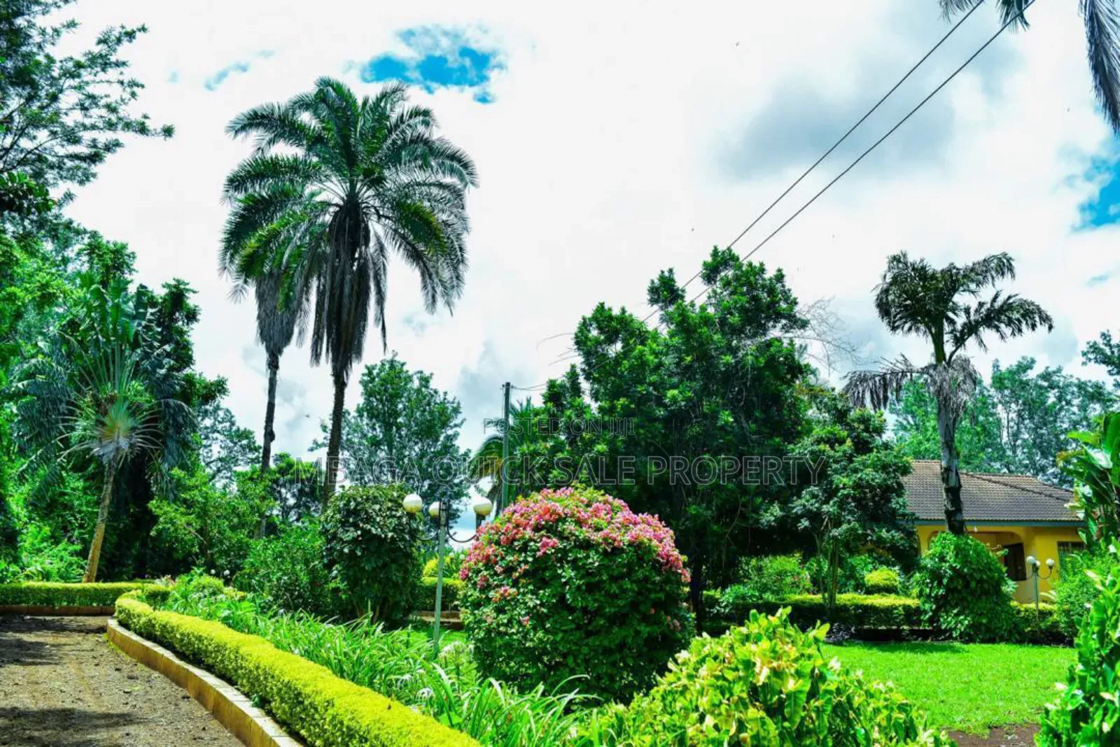 Plot With 3 Bed Room House for Sale at Arusha Njiro Kanisani SQM 8600