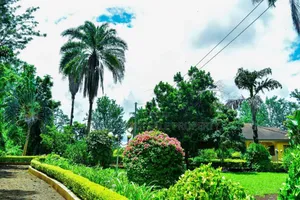 Plot With 3 Bed Room House for Sale at Arusha Njiro Kanisani SQM 8600