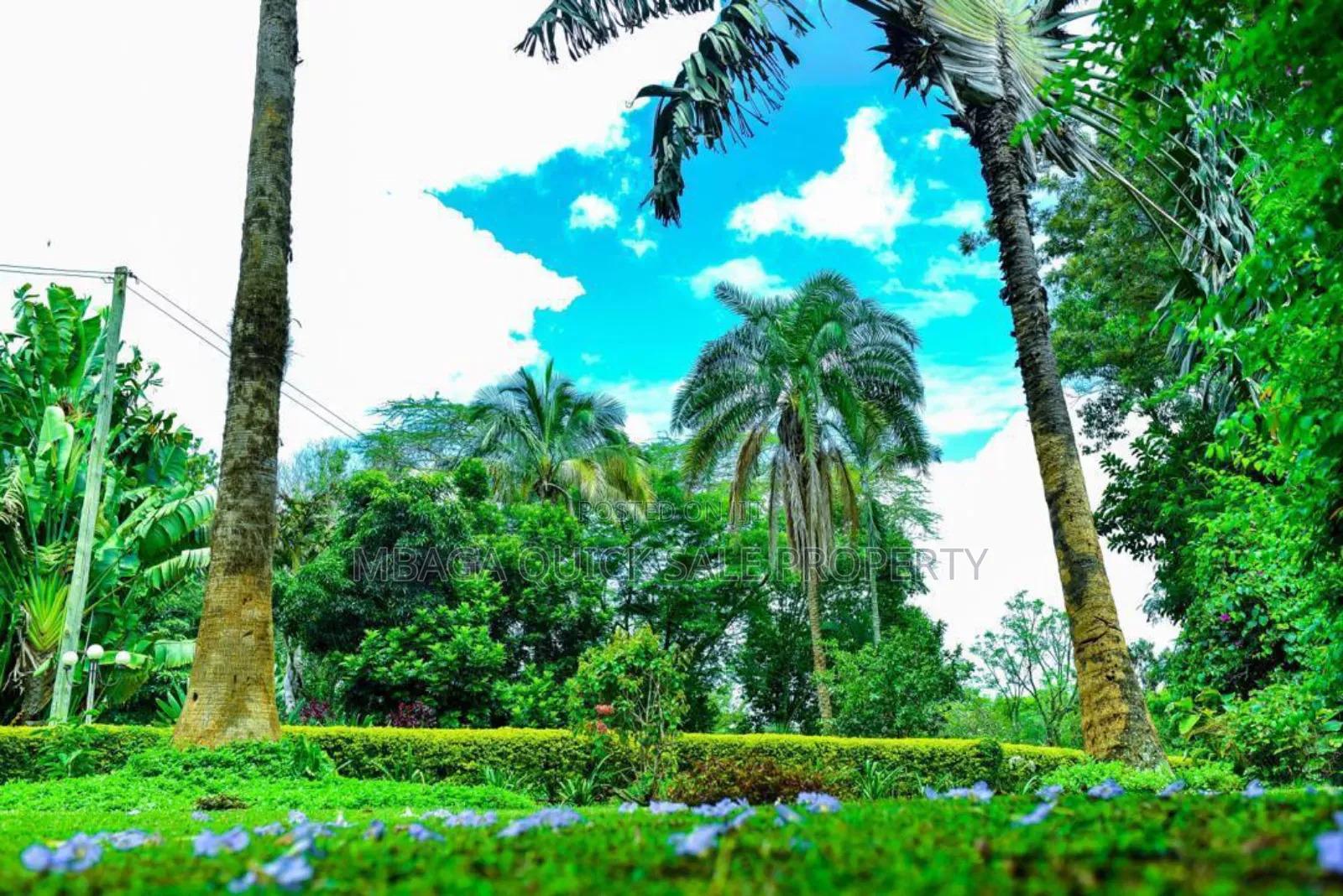 Plot With 3 Bed Room House for Sale at Arusha Njiro Kanisani SQM 8600