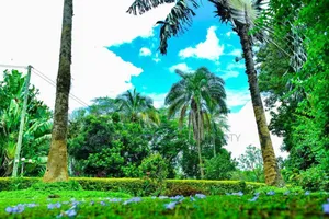 Plot With 3 Bed Room House for Sale at Arusha Njiro Kanisani SQM 8600