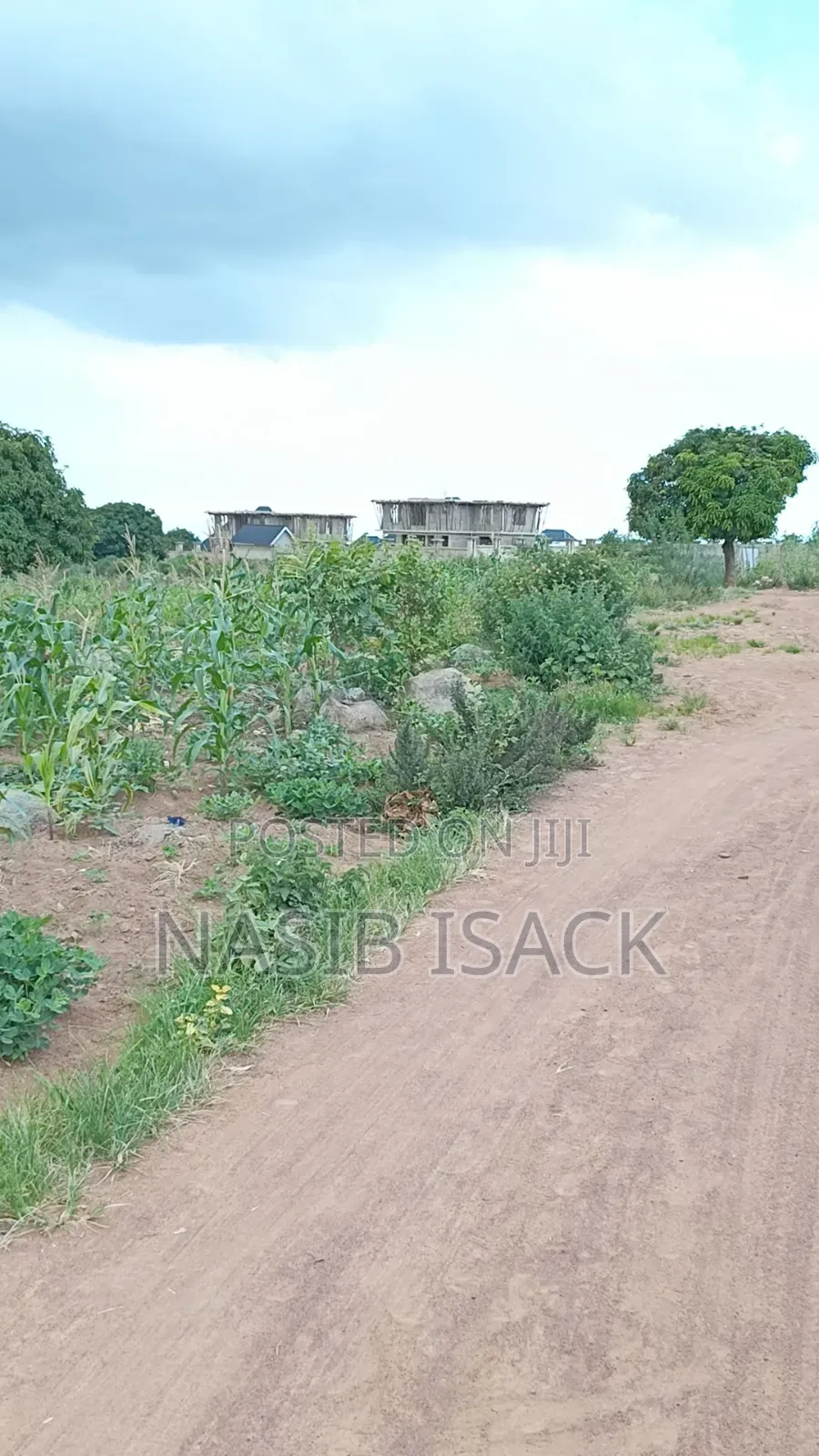 Plot for Sale Square Meter 1000