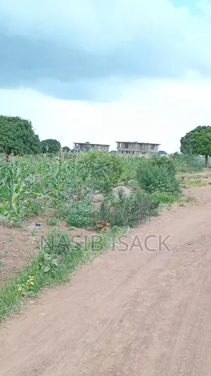 Plot for Sale Square Meter 1000