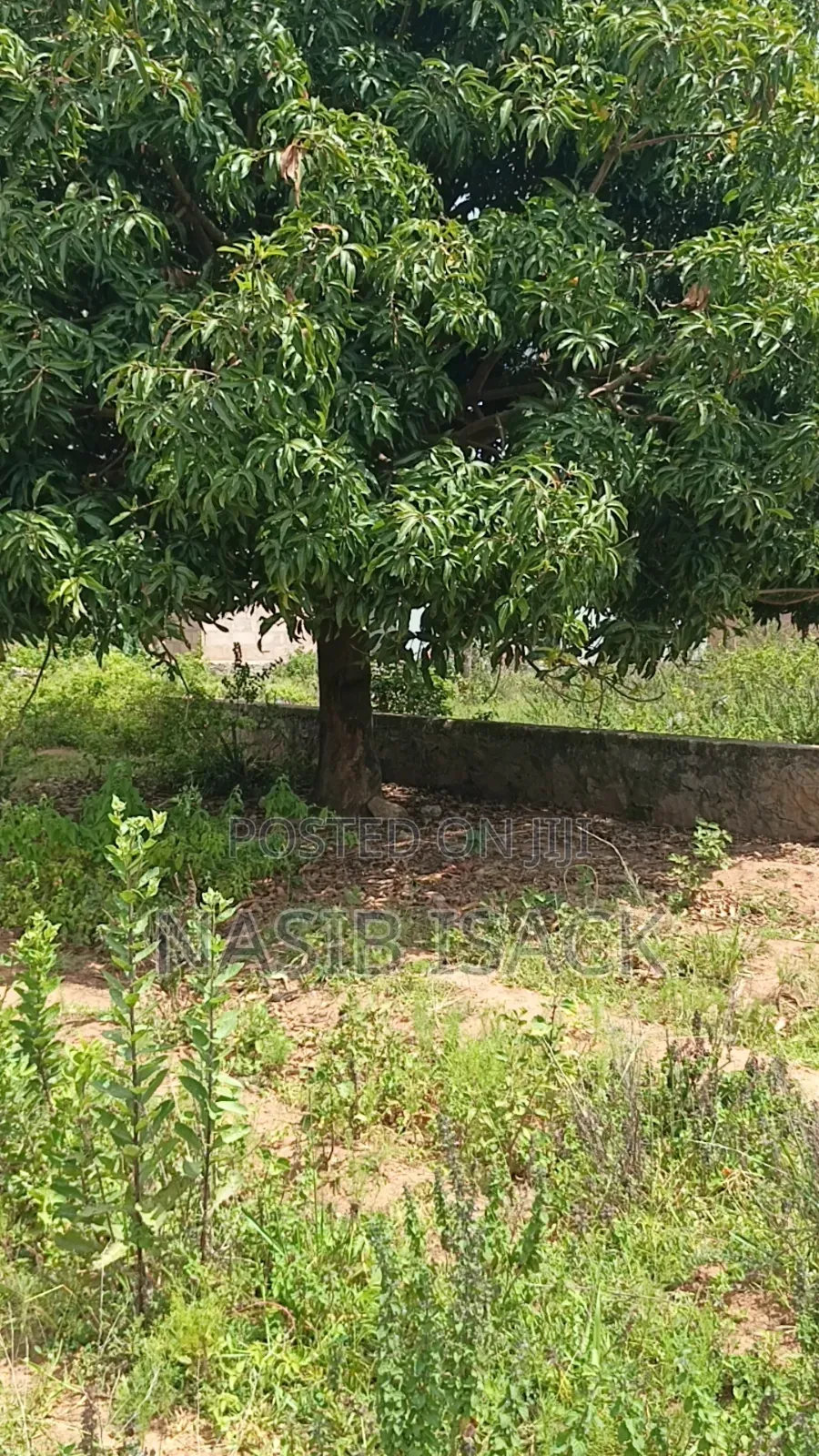 Plot for Sale Square Meter 1000