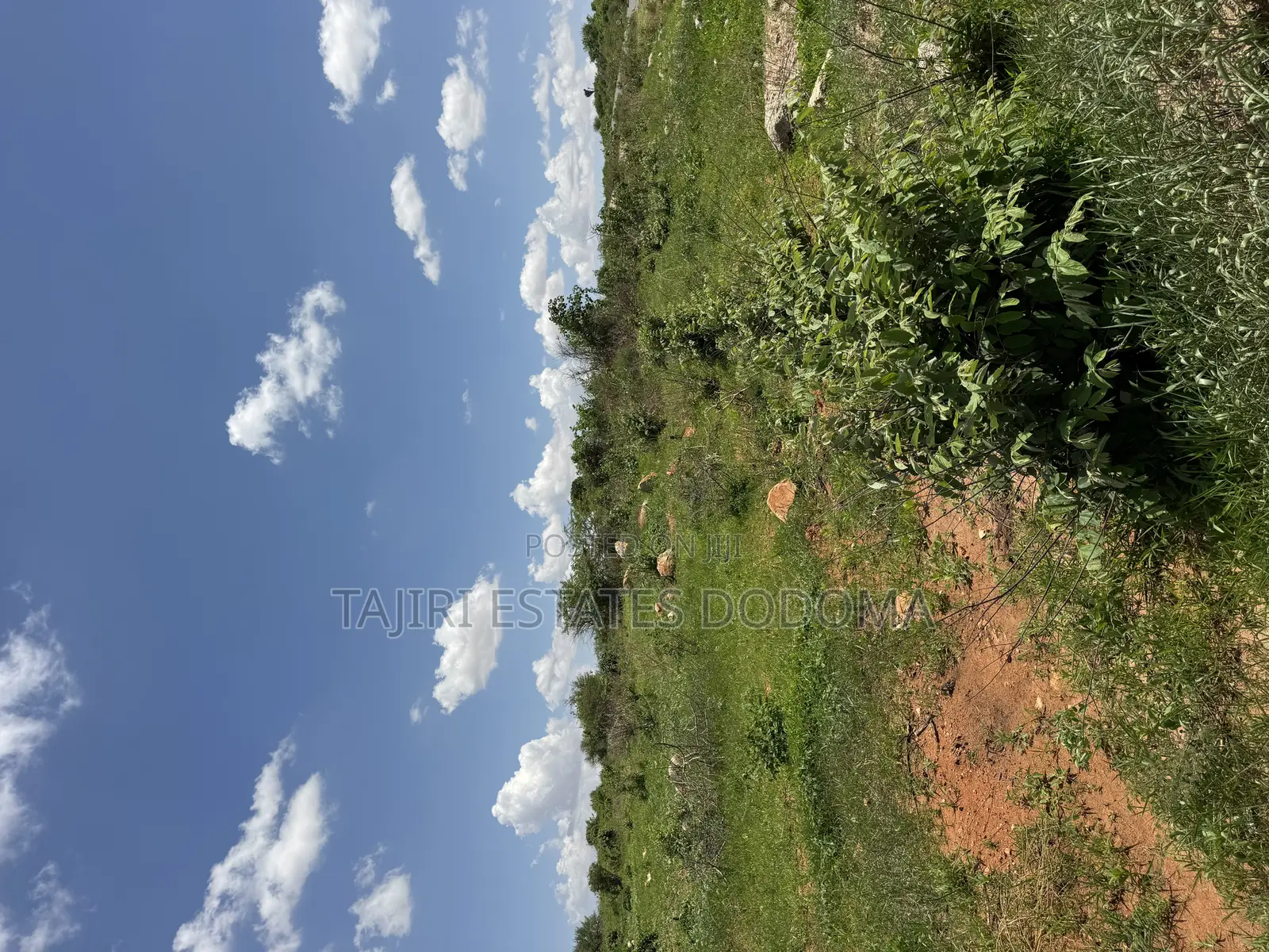 Commercial Plot for Sale at Dodoma Town Njedengwa Investment Area