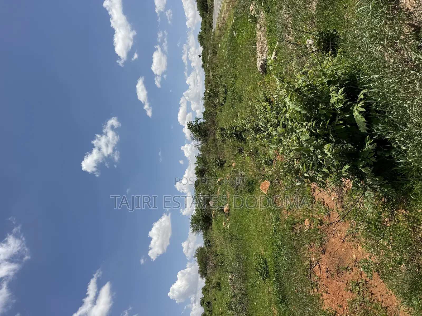 Commercial Plot for Sale at Dodoma Town Njedengwa Investment Area