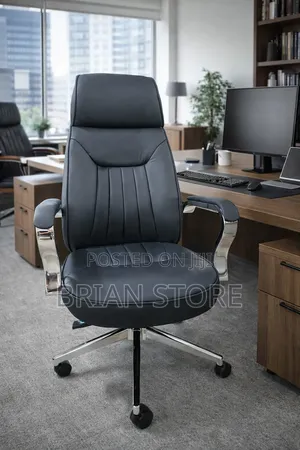 Executive Office Chair