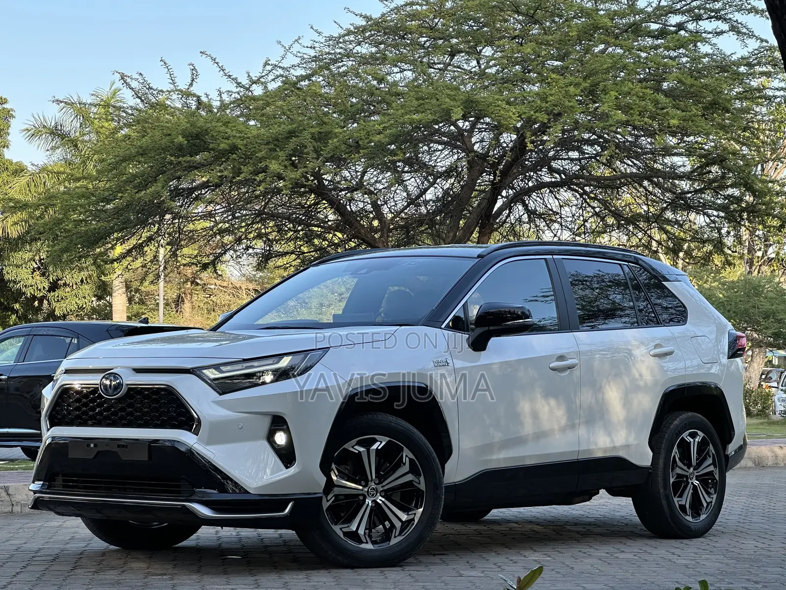 Toyota RAV4 2024 White