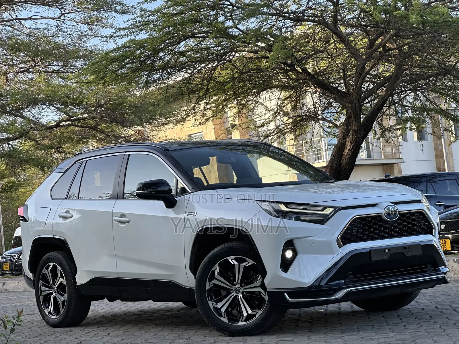 Toyota RAV4 2024 White