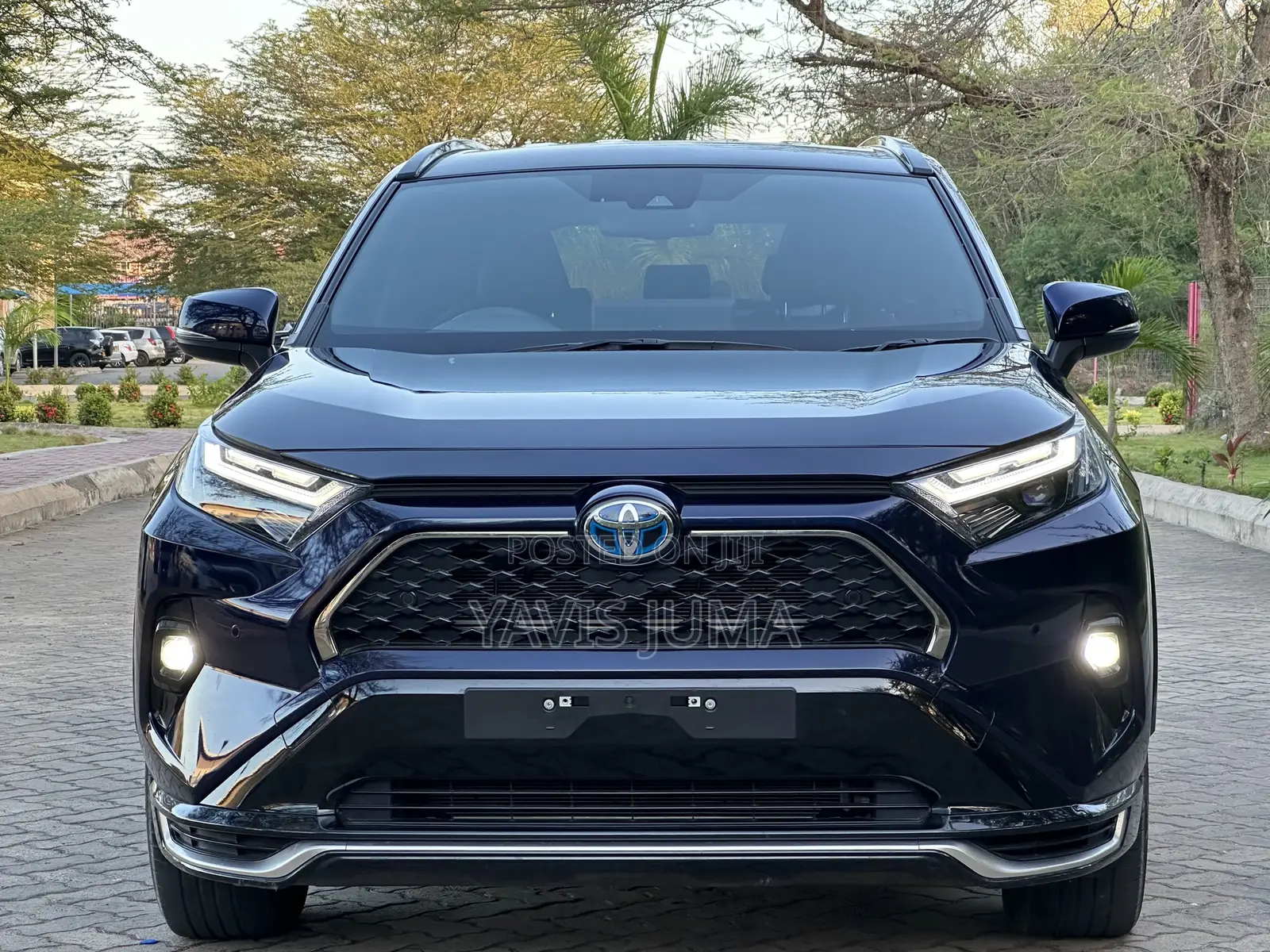 Toyota RAV4 2024 Blue