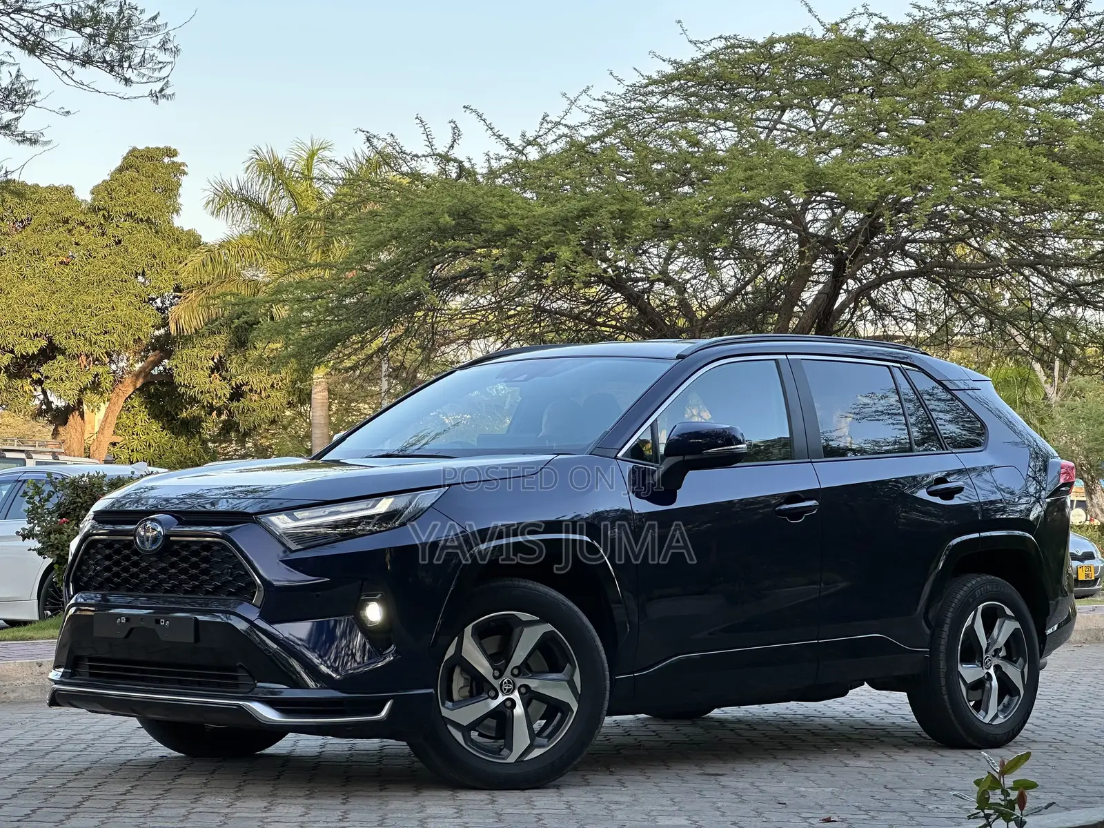 Toyota RAV4 2024 Blue