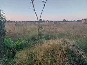 2 Acre's for Sale TSH 100 Mil. At Kigamboni Mwasonga, Dar Es Salaam