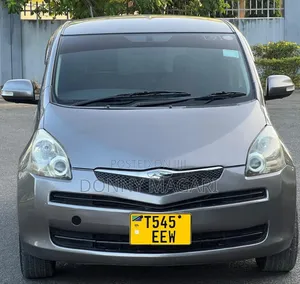Toyota Ractis 2010 Gray