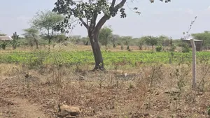 Viwanja Bora Kikwe Arusha