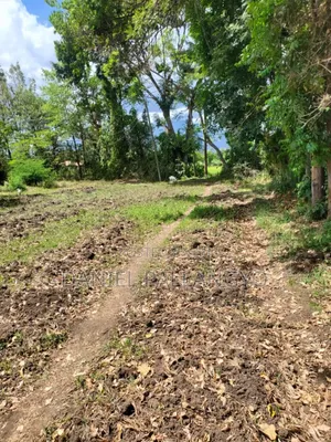 Viwanja Bora Mandela East Africa Road Arusha