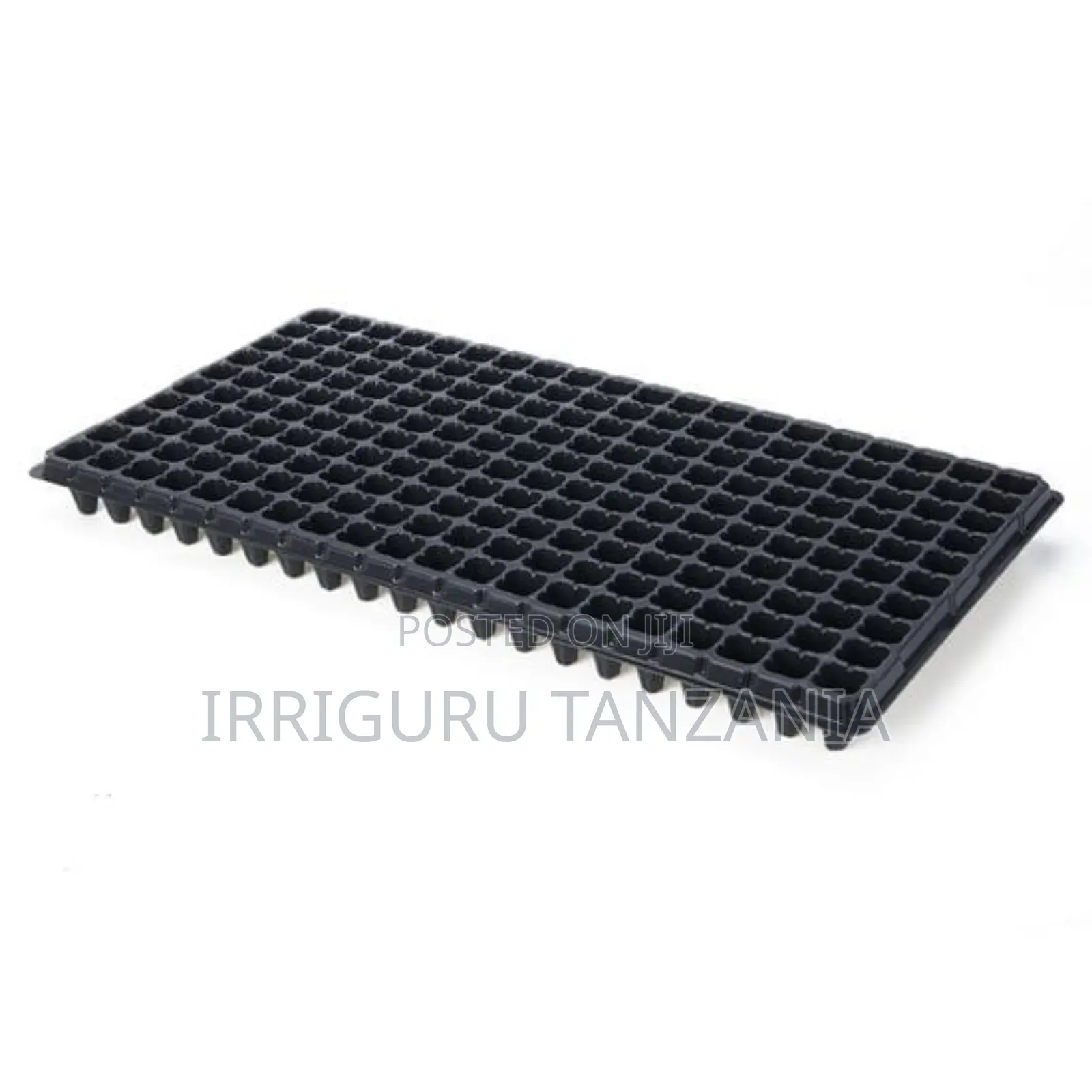 Starter Trays