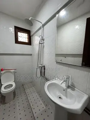 Furnished 10bdrm House in Upanga East for rent