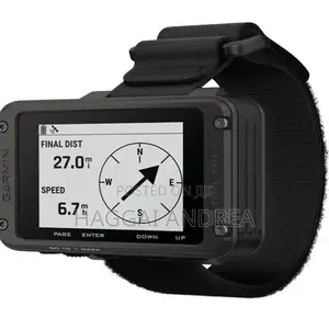 Garmin Foretrex 801