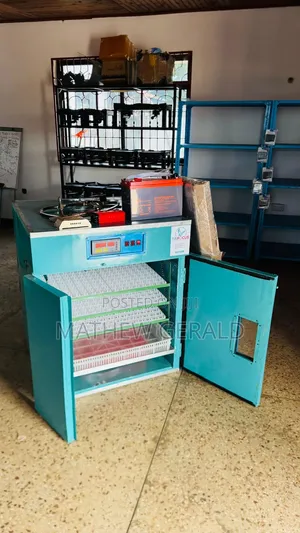 Incubators Za Kutotolesha Mayai Ya Aina Zote