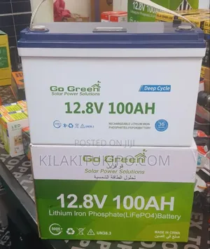 Lithium Iron Phosphate Lifep04 Battery 100ah