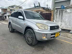 Toyota RAV4 2002 Silver