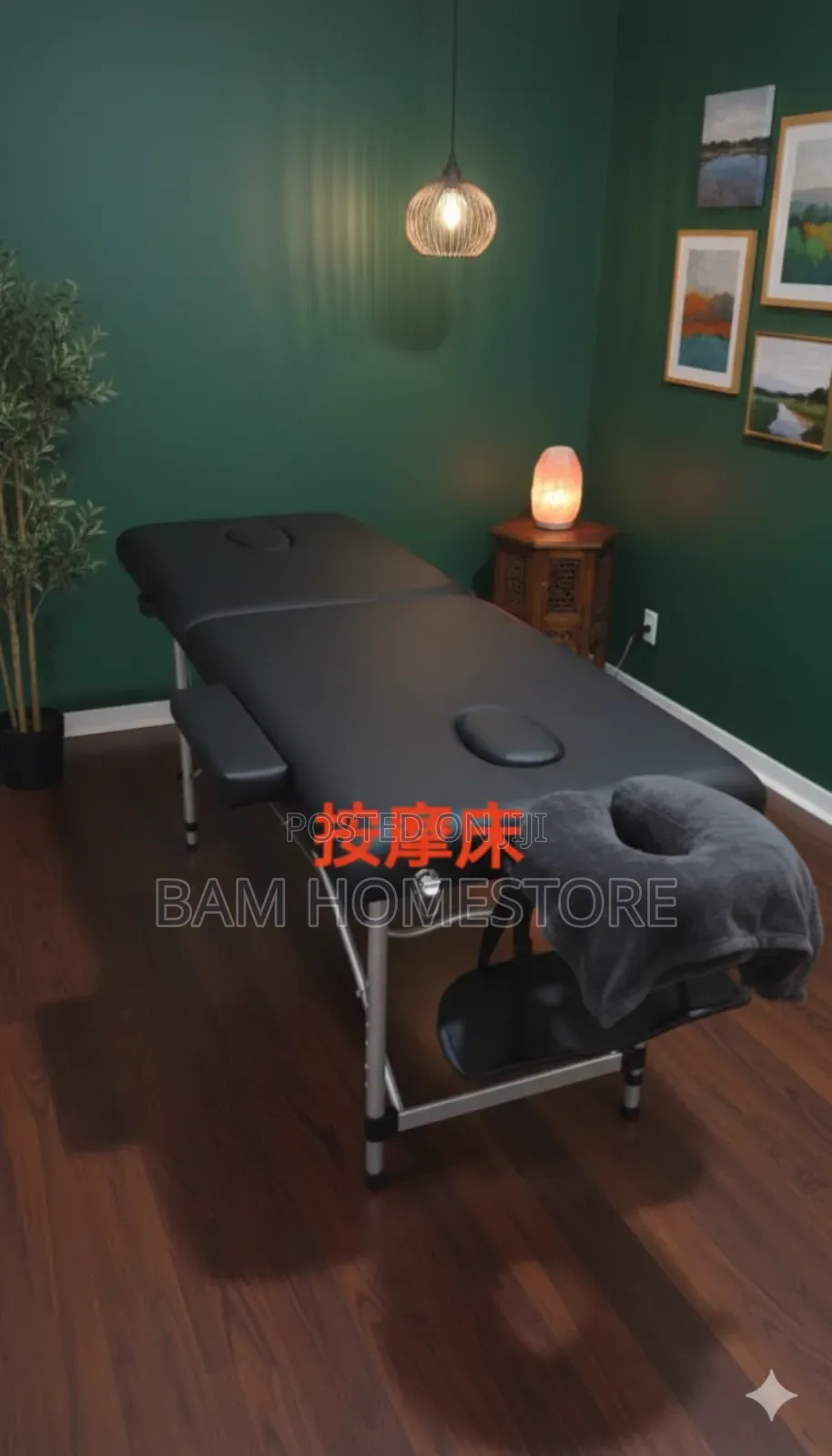 Portable Folding Massage Bed Spa Tattoo Beauty Couch With Carrying Bag