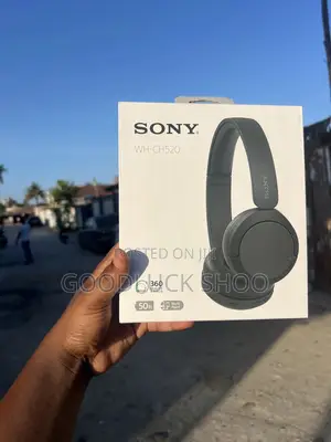 Sony Wh-Ch520