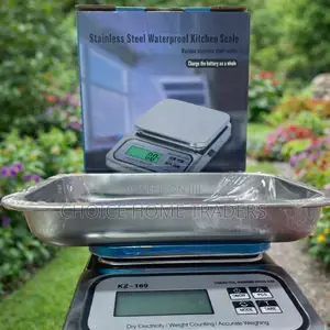 Stainless Waterproof Kitchen Scale 10kg