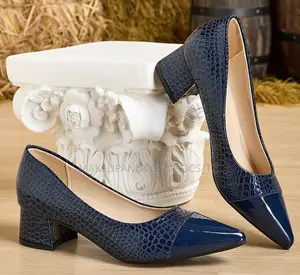 Pair of Navy Blue Women’S Low Heel Pumps