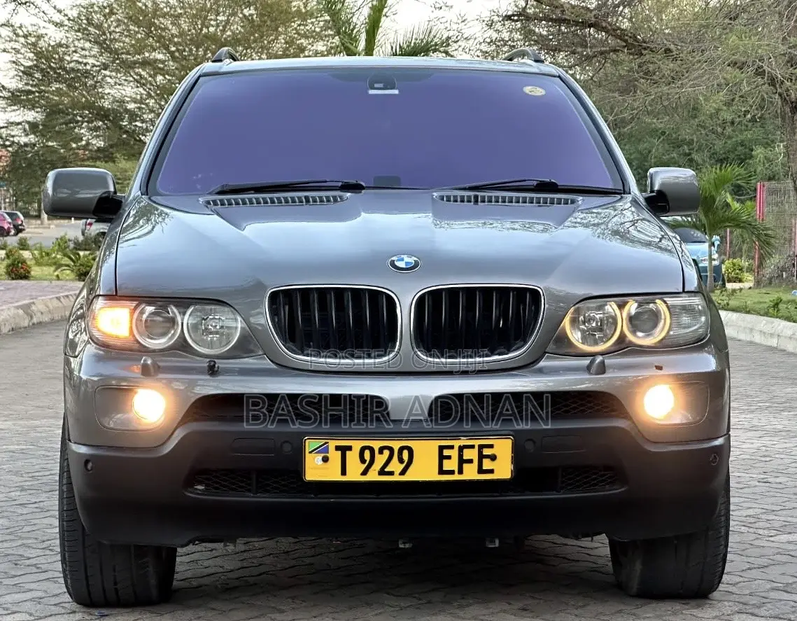 BMW X5 3.0d 2005 Gray