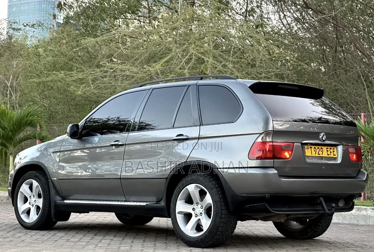 BMW X5 3.0d 2005 Gray