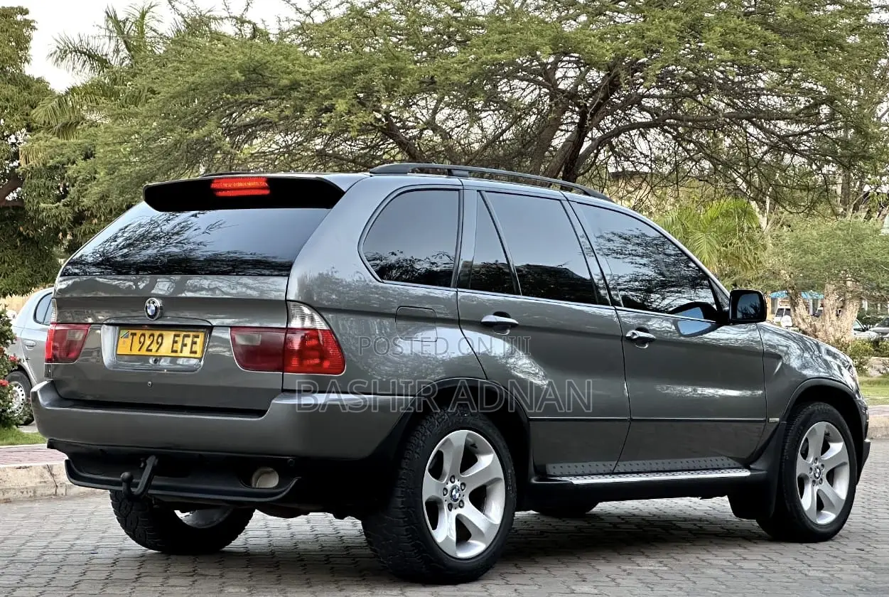 BMW X5 3.0d 2005 Gray