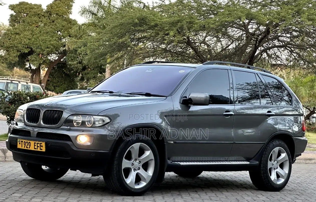 BMW X5 3.0d 2005 Gray