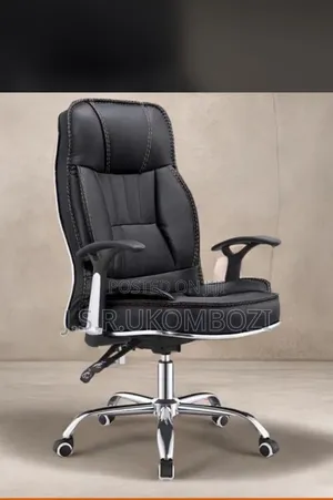 Salon Chair/Home /Office