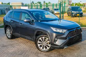 Toyota RAV4 2020 Gray